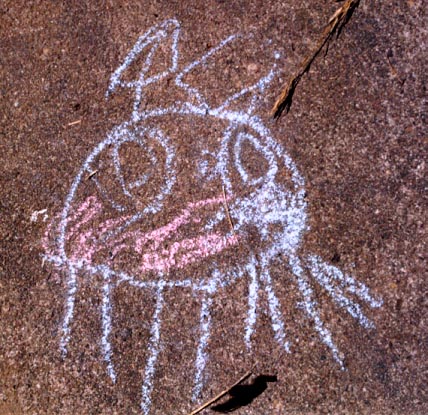 Sams Ladybird, (unkown)