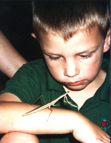 Mark and Mantid, (unkown)